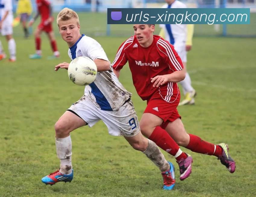 星空体育app服务体系